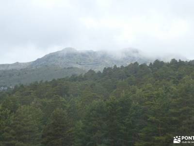 Cabeza Mediana-Monumento Guarda Forestal; puente septiembre parque natural sierra norte de guadalaja